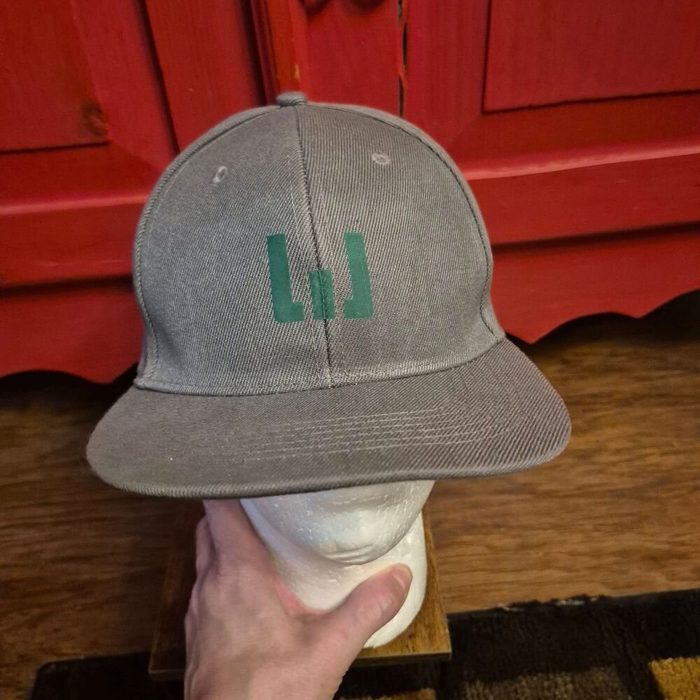 NWOT Vitronic Snapback Baseball Hat Cap Grey Green Trucker Never Worn NEW